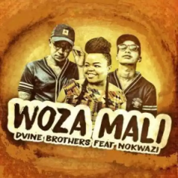 Dvine Brothers Ft. Nokwazi - (Woza Mali Ft. Nokwazi)